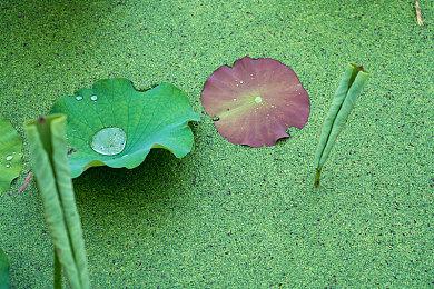 因担心争议 育碧美国内战题材《刺客信条》被取消